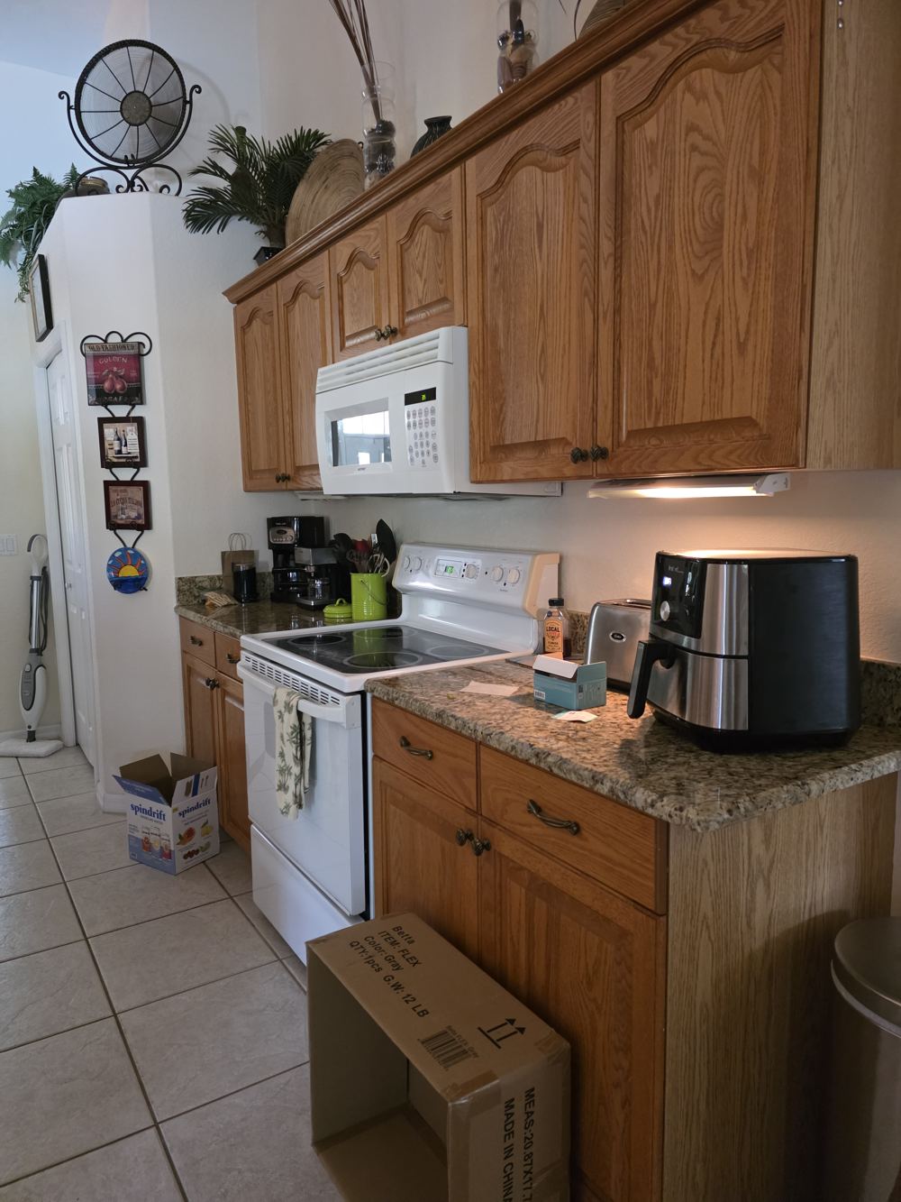 Cabinets before refinishing